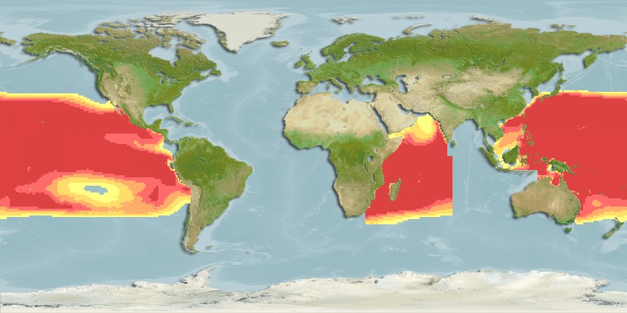 tuna